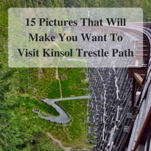 15 Pictures That Will Make You Want To Visit Kinsol Trestle Path