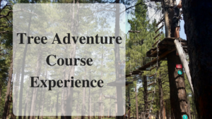 Tree Adventure Course Experience Main