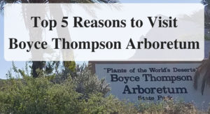 B Top 5 Reasons to Visit Boyce Thompson Arboretum main