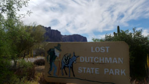 Lost Dutchmand State Park Arizona Cactus Wren