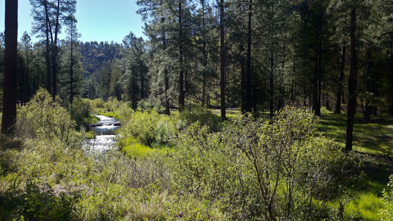 Camping Along the Black River in Arizona Forever Sabbatical