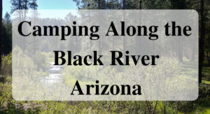 Camping Along the Black River Arizona Forever Sabbatical