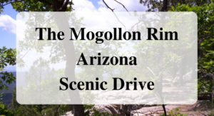 The Mogollon Rim Arizona Scenic Drive Forever Sabbatical