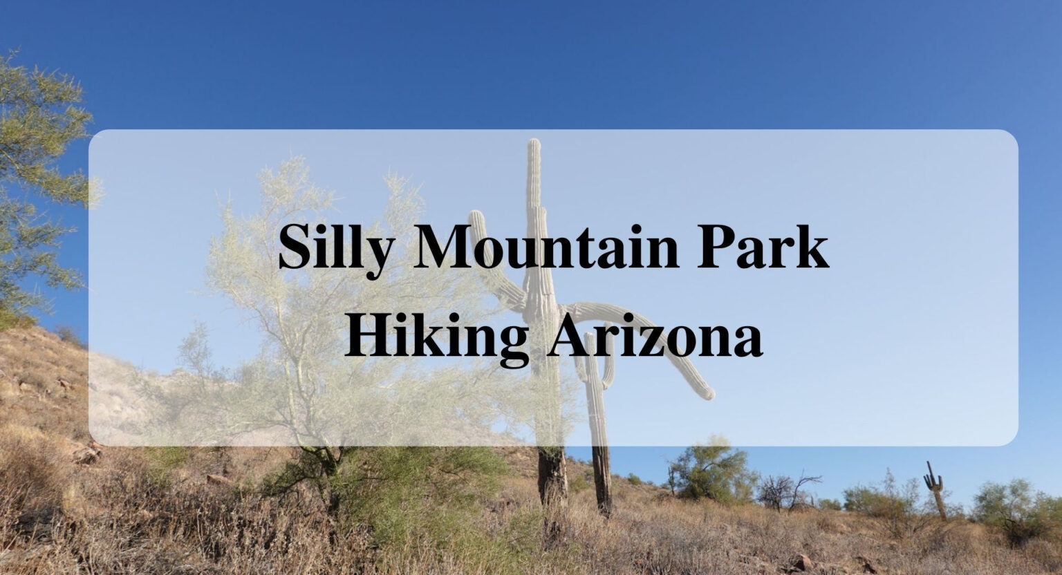 Silly Mountain Park Hiking Pinal County Arizona Forever Sabbatical