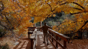 Arizona Autumn Forever Sabbatical bridge