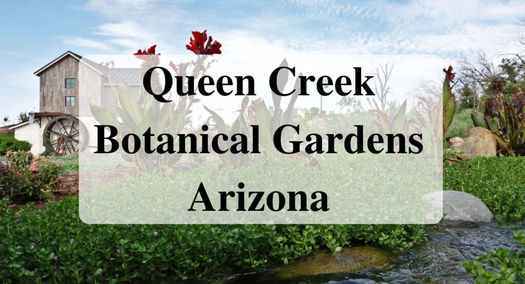 Queen Creek Botanical Gardens Arizona
