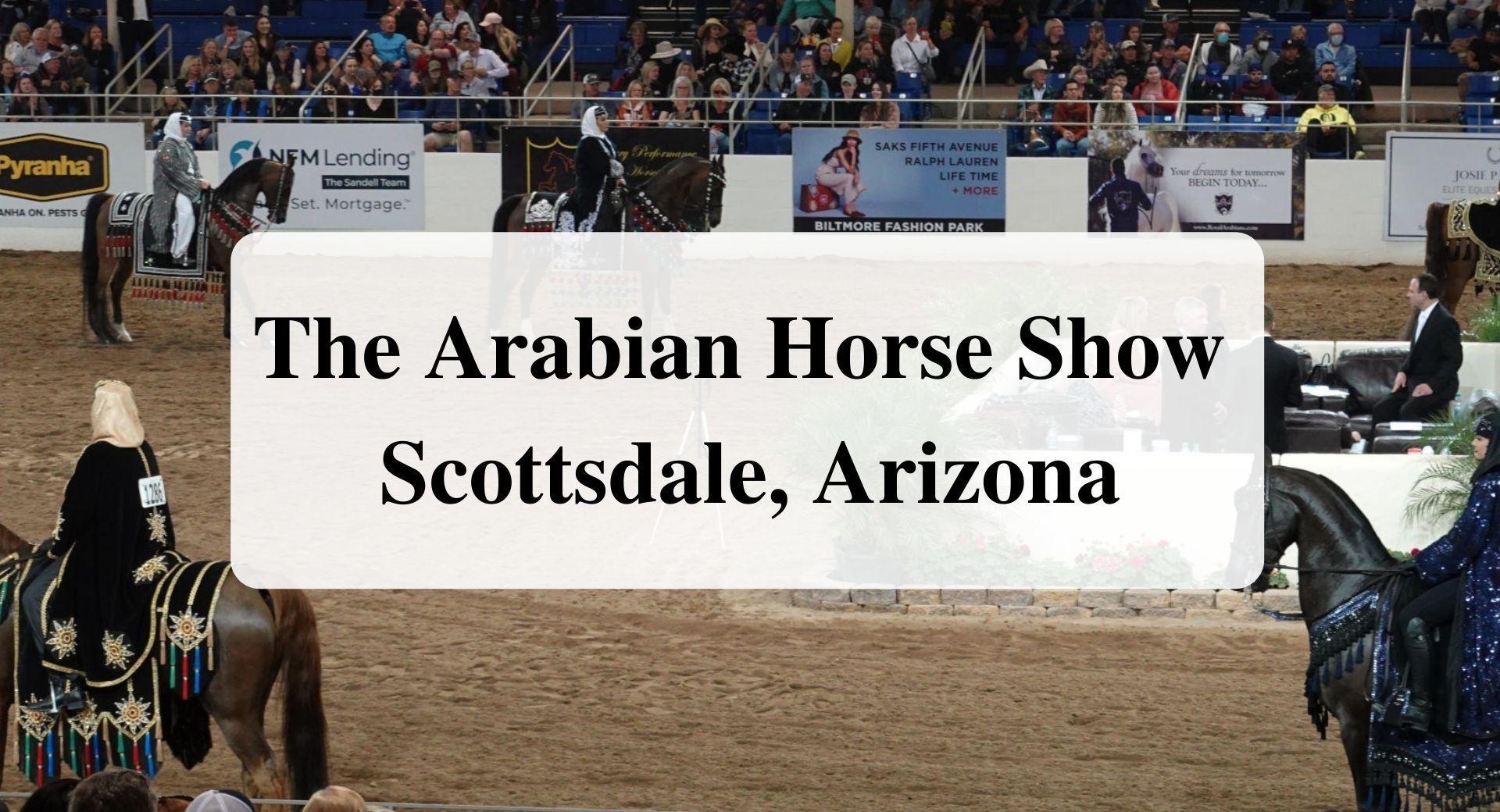 The Arabian Horse Show Scottsdale, Arizona Forever Sabbatical