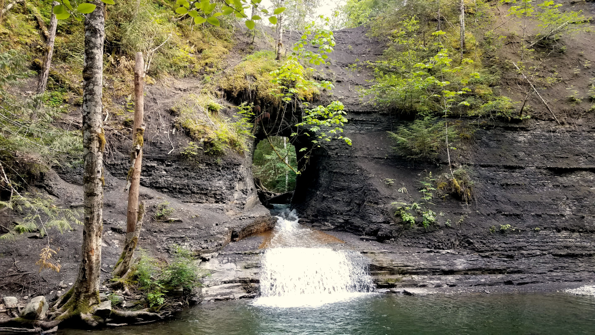8 Beautiful Waterfalls on Vancouver Island, British Columbia, Canada -  Forever Sabbatical
