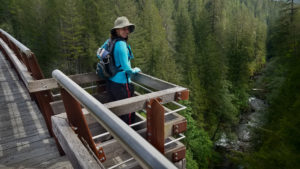 Kinsol Trestle on Vancouver Island, British Columbia Canada looking down