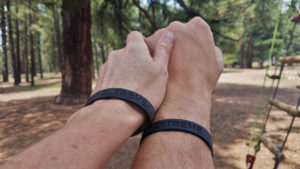 Learn about your Significant Other on a Tree Adventure Course Black bands
