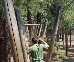 Learn about your Significant Other on a Tree Adventure Course Hunter obstacle