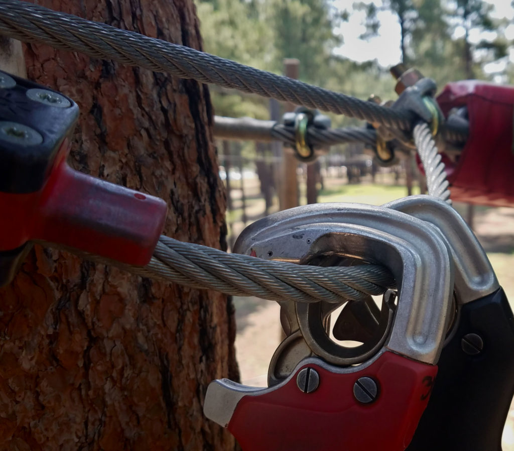 Learn about your Significant Other on a Tree Adventure Course Safety cable