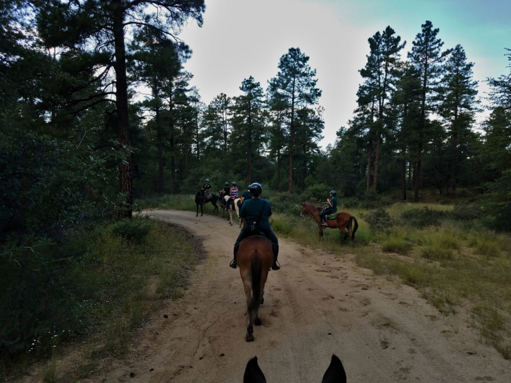 Becoming an Outdoors Woman in Arizona September 2018 Camp Overview horeseride