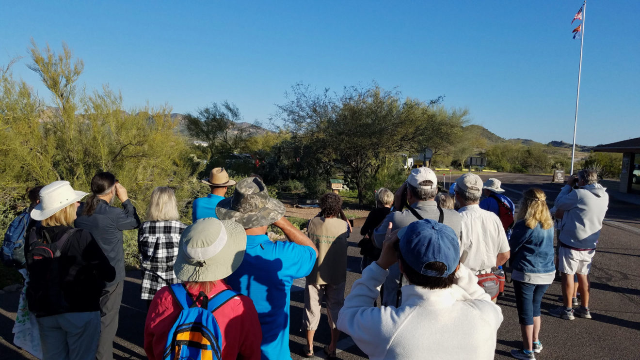 Calling all Birders to Lost Dutchman State Park Bird Walk - Forever ...