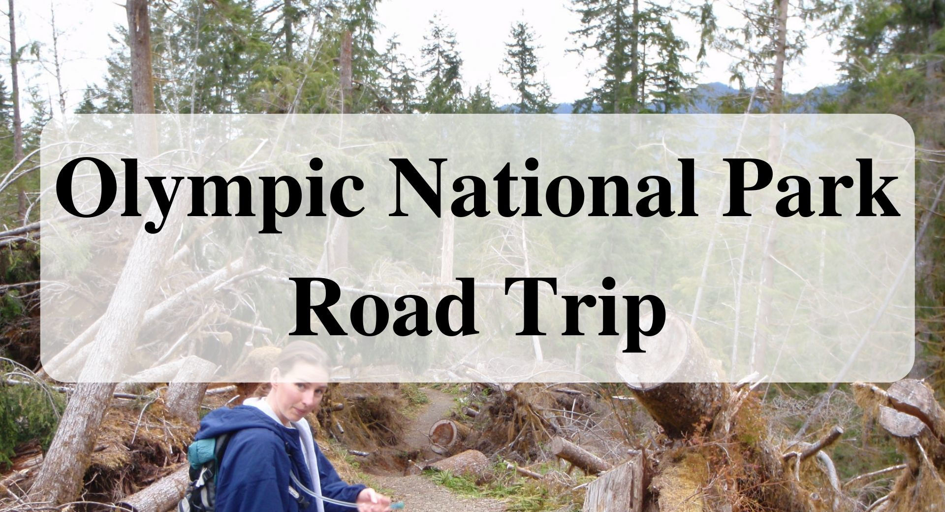 Olympic National Park Road Trip