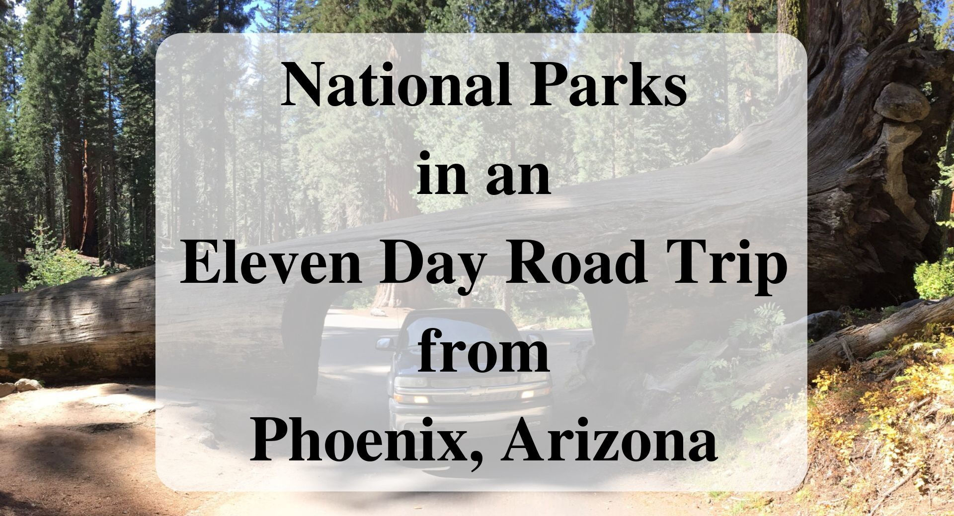 National Parks in an Eleven Day Road Trip from Phoenix, Arizona Forever Sabbatical
