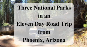 Three National Parks in an Eleven Day Road Trip from Phoenix, Arizona