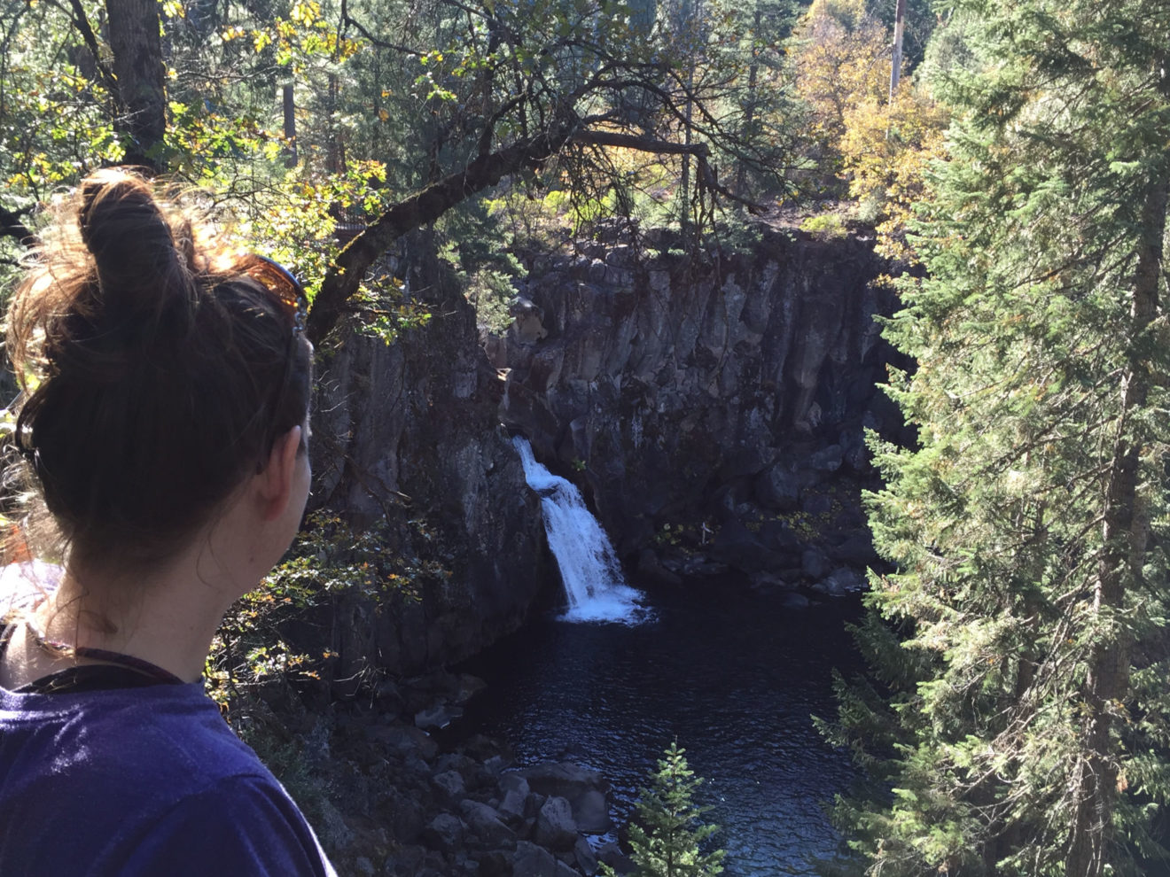 National Parks in an Eleven Day Road Trip from Phoenix, Arizona Forever Sabbatical