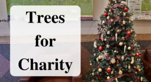 Trees for Charity Forever sabbatical