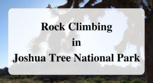 Rock Climbing in Joshua Tree National Park main
