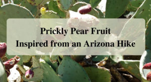 Prickly Pear Fruit Inspired from an Arizona Hike Forever sabbatical