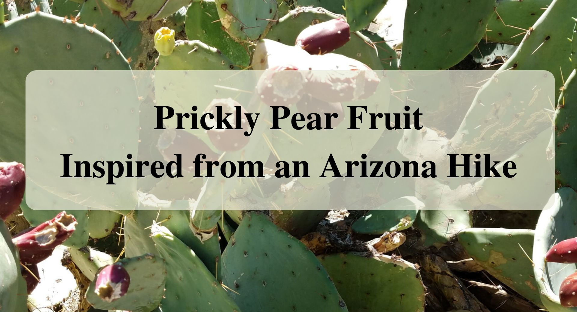 Prickly Pear Fruit Inspired from an Arizona Hike Forever sabbatical