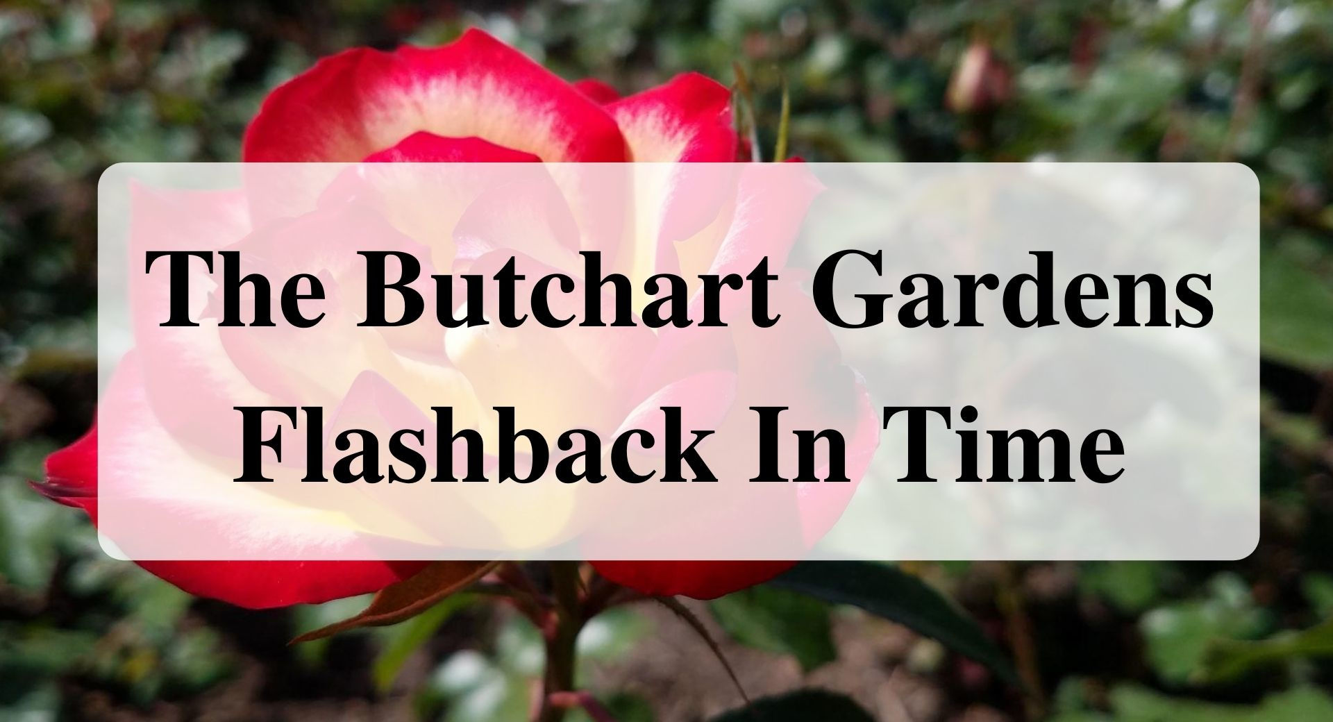 The Butchart Gardens Flashback In Time Forever Sabbatical