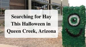 Searching for Hay This Halloween in Queen Creek, Arizona Forever sabbatical