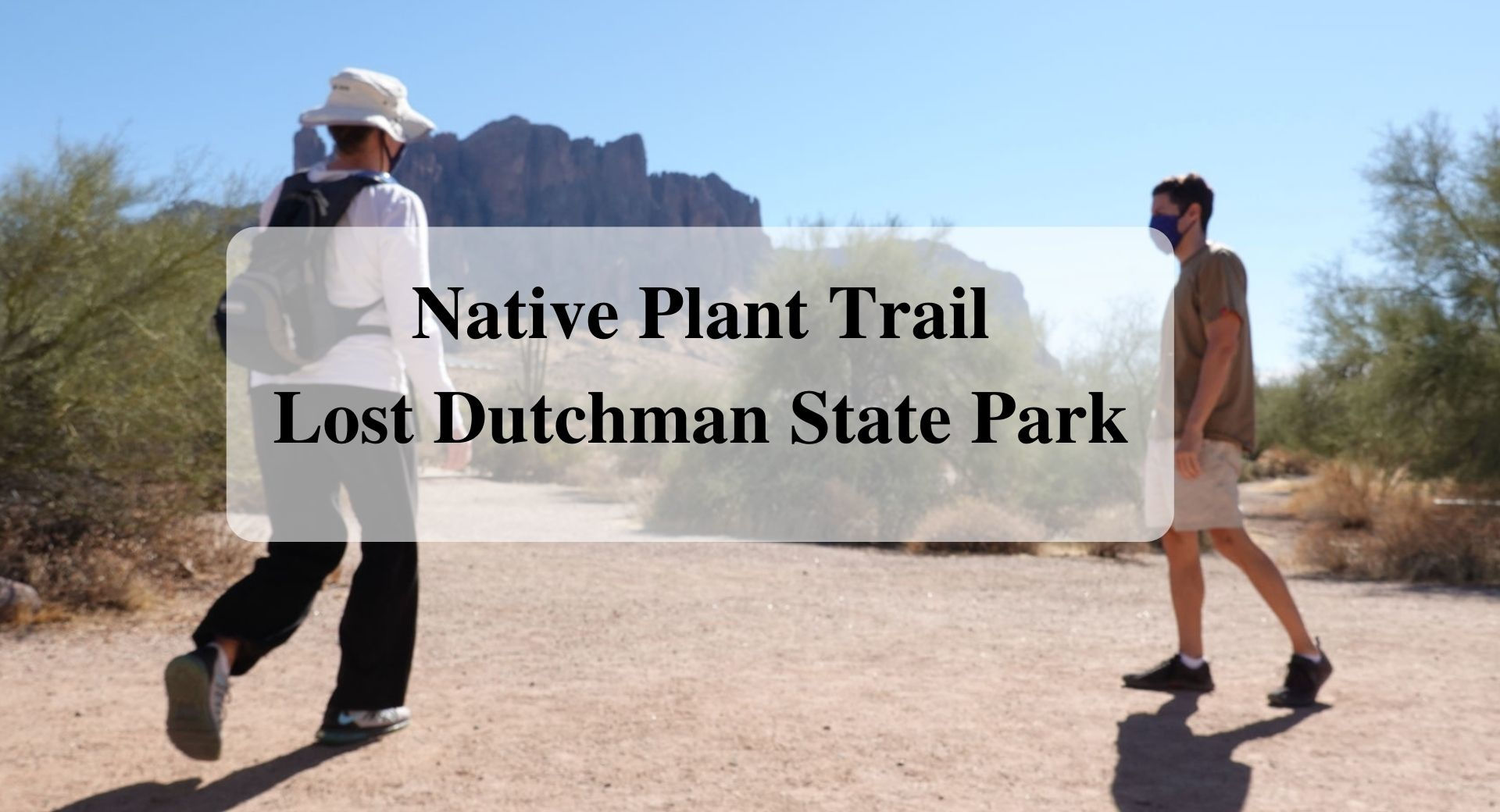 Native Plant Trail Lost Dutchman State Park, Forever sabbatical