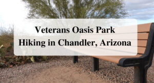 Veterans Oasis Park Hiking in Chandler Arizona
