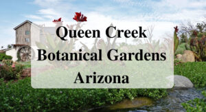 Queen Creek Botanical Gardens Arizona Forever Sabbatical