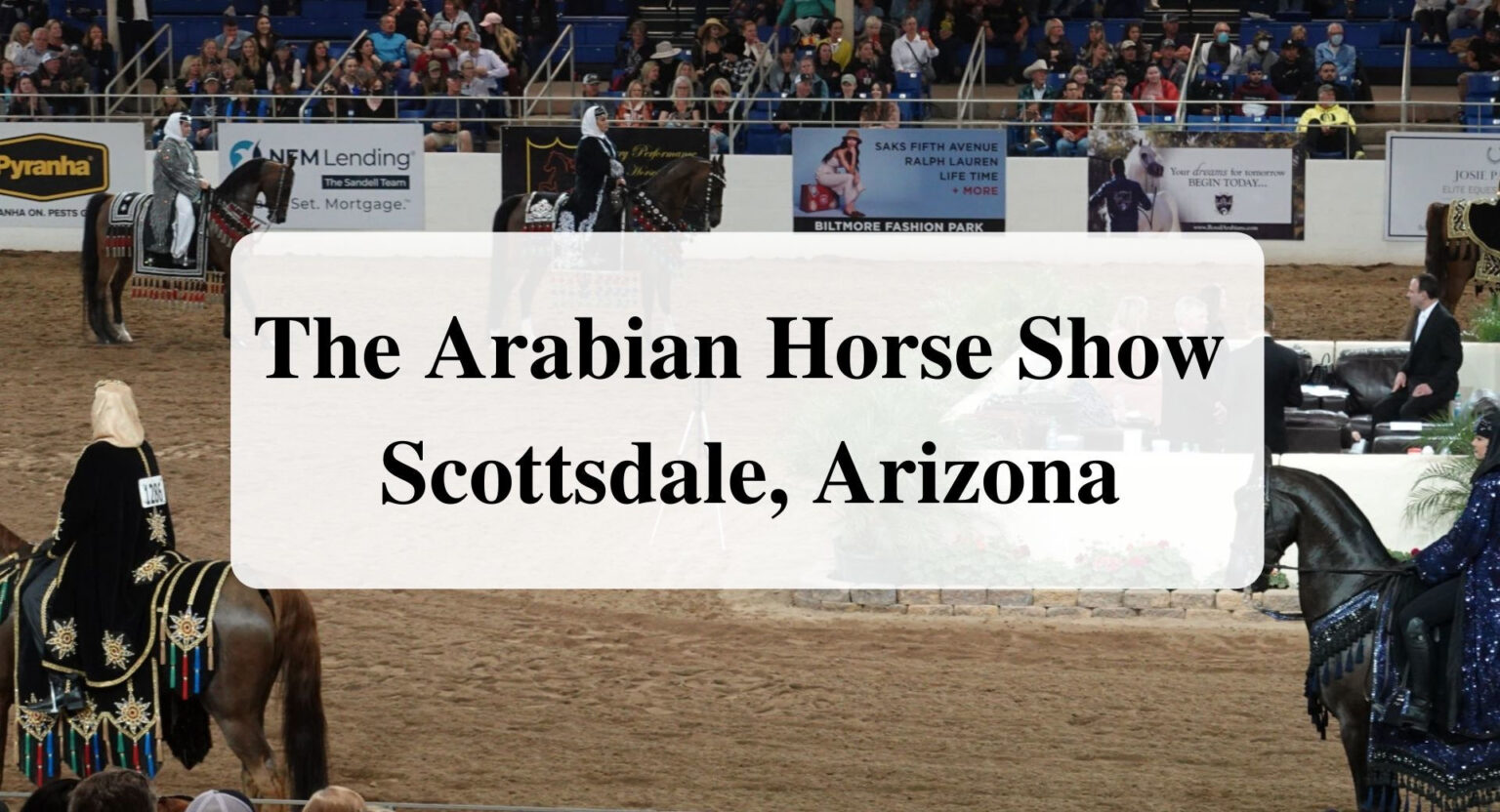 The Scottsdale Arabian Horse Show Forever Sabbatical