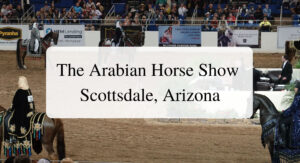 The Arabian Horse Show Scottsdale, Arizona Forever Sabbatical