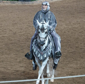costume Arabian Horse, Forever Sabbatical
