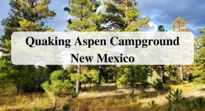 Quaking Aspen Campground – New Mexico