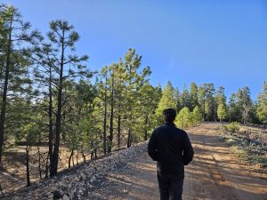 Hike Bear Canyon Lake