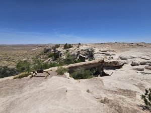Why You Should Visit Petrified Forest National Park
