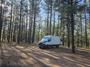 Quaking Aspen Dispersed Camping New Mexico