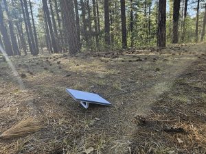 Starlink Boondocking New Mexico