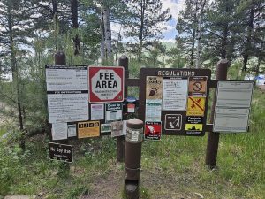 Vanlife camping Colorado