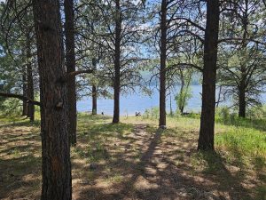 Starlink Mini Remote internet solution