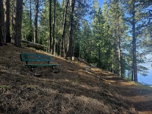 Vanlife camping Colorado
