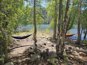 Colorado mountain camping scenery hammocks Miller Creek Campground