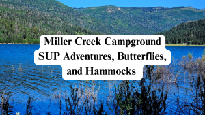 Miller Creek Campground main