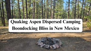 Quaking Aspen Dispersed Camping main