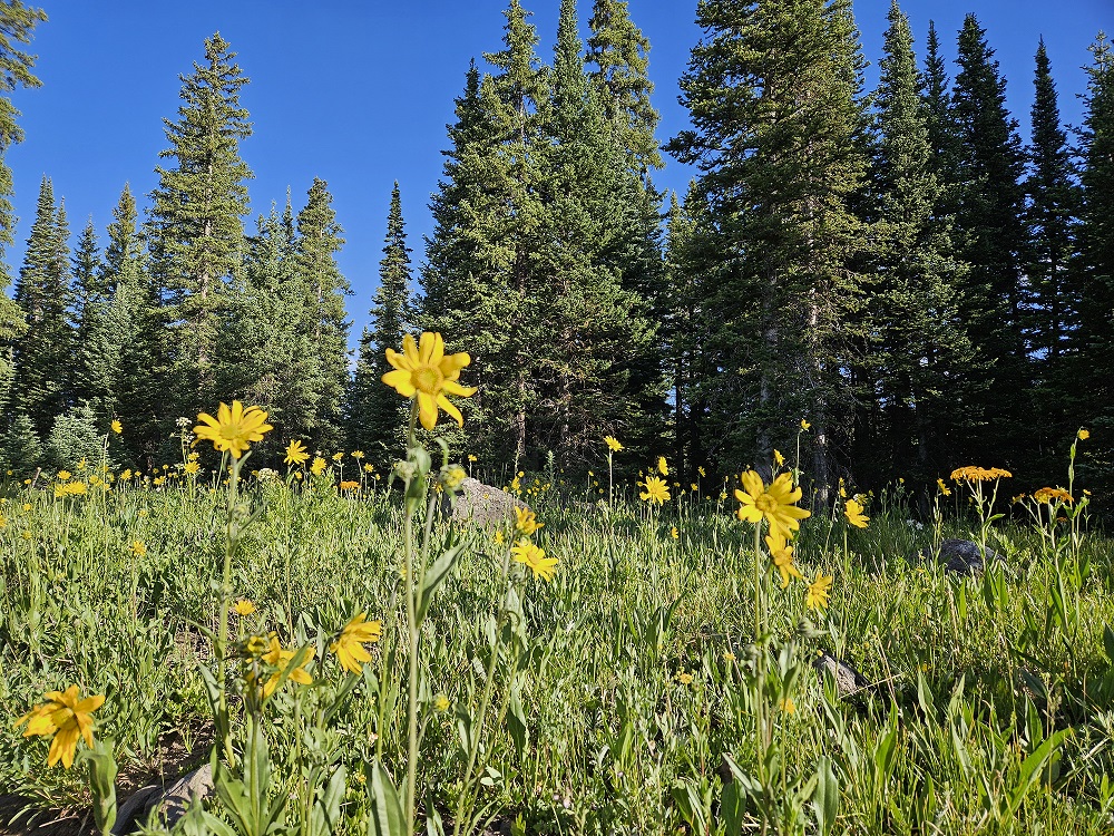 Reed Reservoir Boondocking