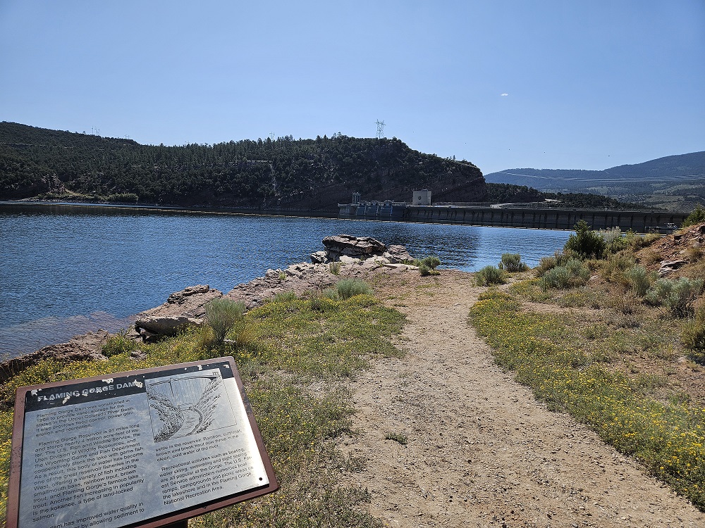 Share Your Experience