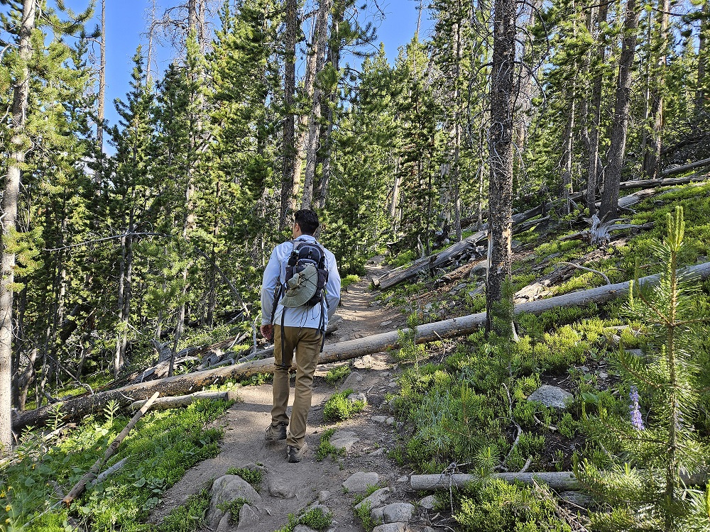 Sacred Rim Trail view