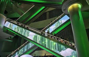 What’s Allowed Inside